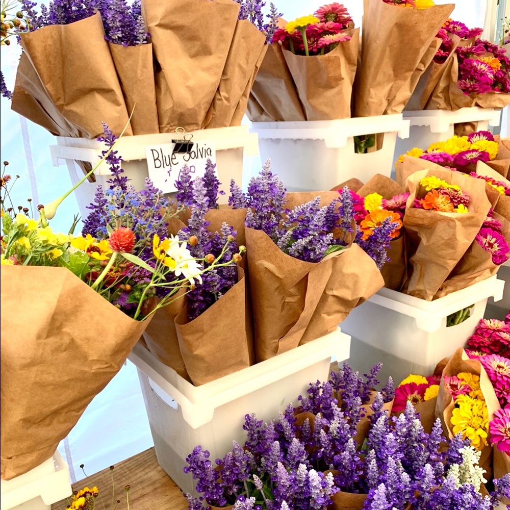 Meet your Posher, Melody